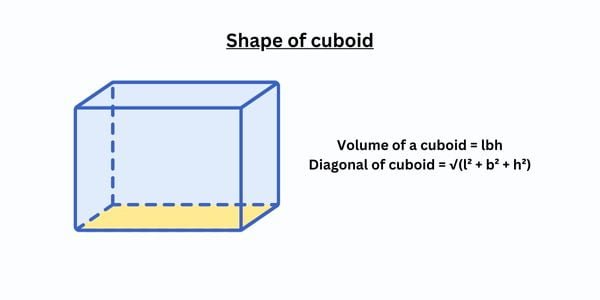 shape of cuboid